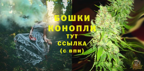 сатива Нея