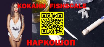 крисы Гатчина