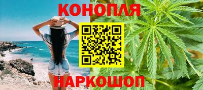 крисы Гатчина