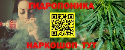 крисы Гатчина