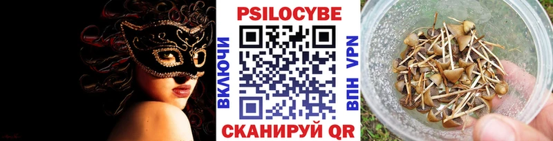 как найти наркотики  Дятьково  KRAKEN маркетплейс  Галлюциногенные грибы мицелий 