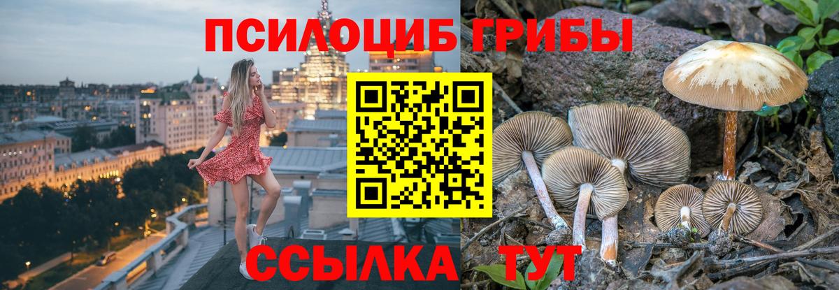 Дятьково  Галлюциногенные грибы мицелий  Галлюциногенные грибы Psilocybe  Вход с VPN 